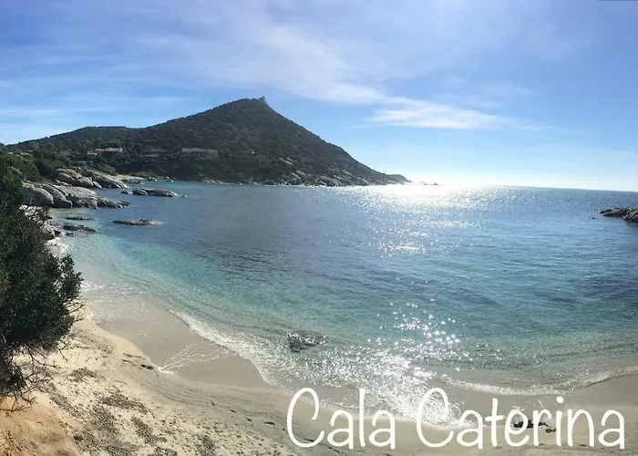 公寓 Domu De Bisu 维拉西米乌斯